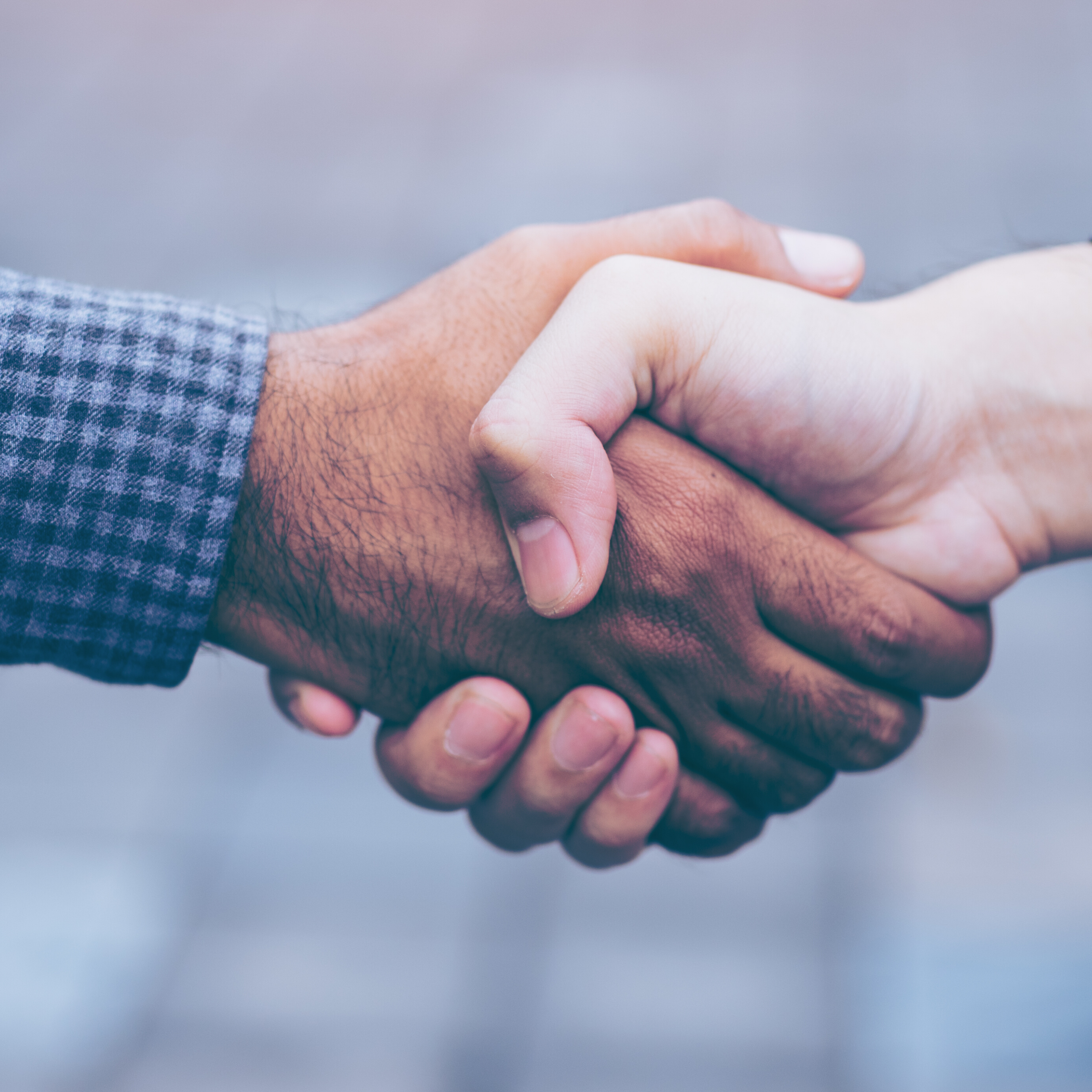 Shaking Hands Stock Image